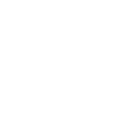 SecuBond logo white