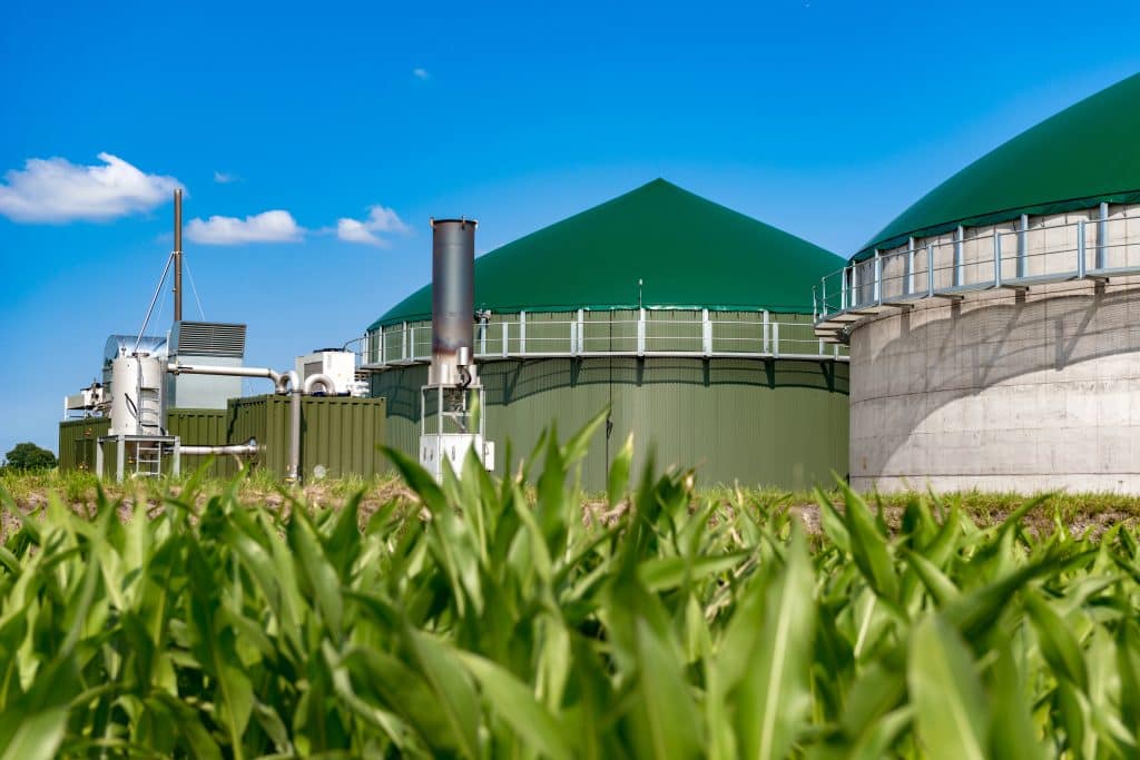 Biogas Plant In Maize Field
