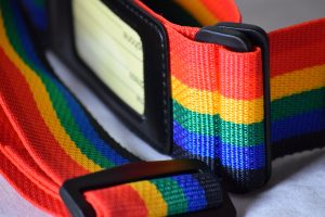 Rainbow webbing luggage strap
